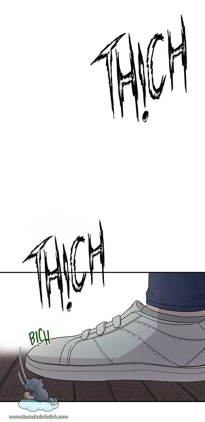 Cạm Bẫy Chapter 22 - 25