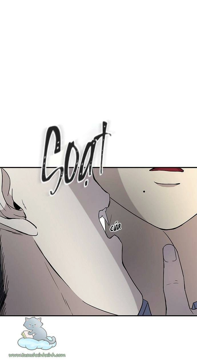 Cạm Bẫy Chapter 22 - 50