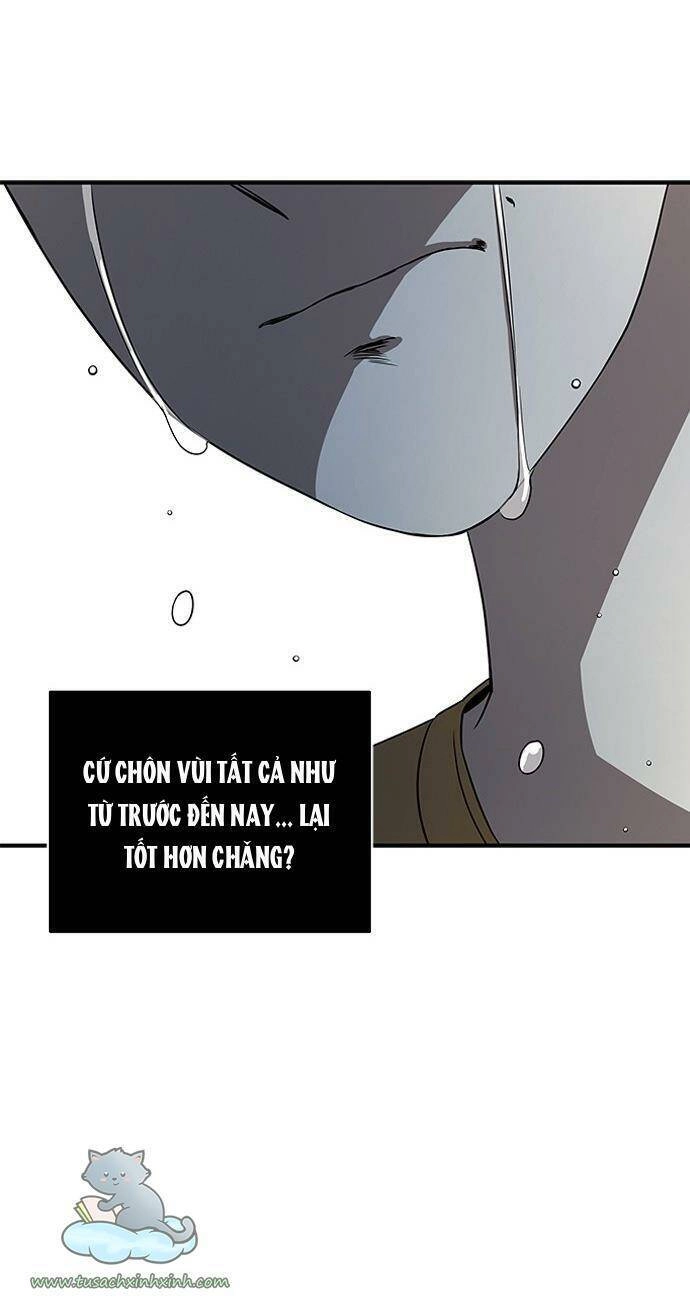 Cạm Bẫy Chapter 31 - 64