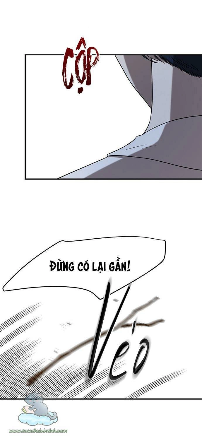 Cạm Bẫy Chapter 35 - 51