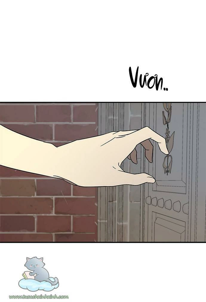 Cạm Bẫy Chapter 36 - 42