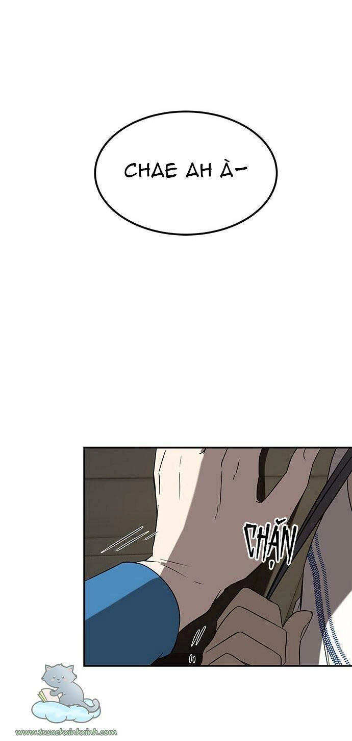 Cạm Bẫy Chapter 37 - 45