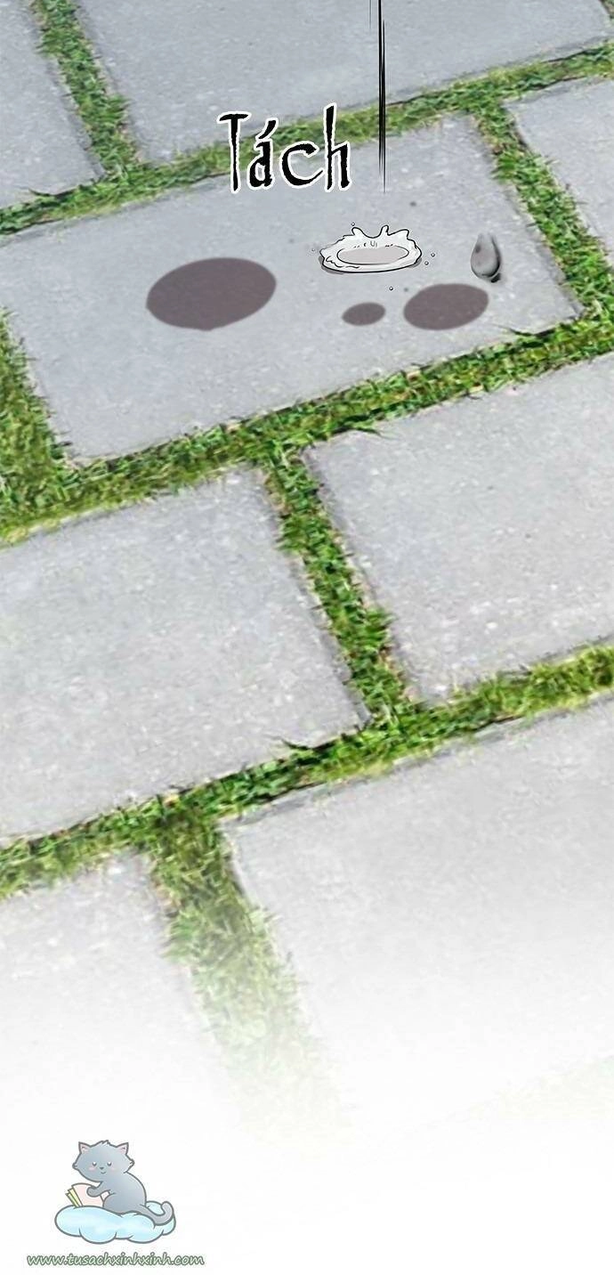 Cạm Bẫy Chapter 39 - 15