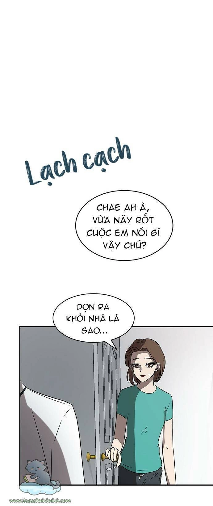 Cạm Bẫy Chapter 39 - 54