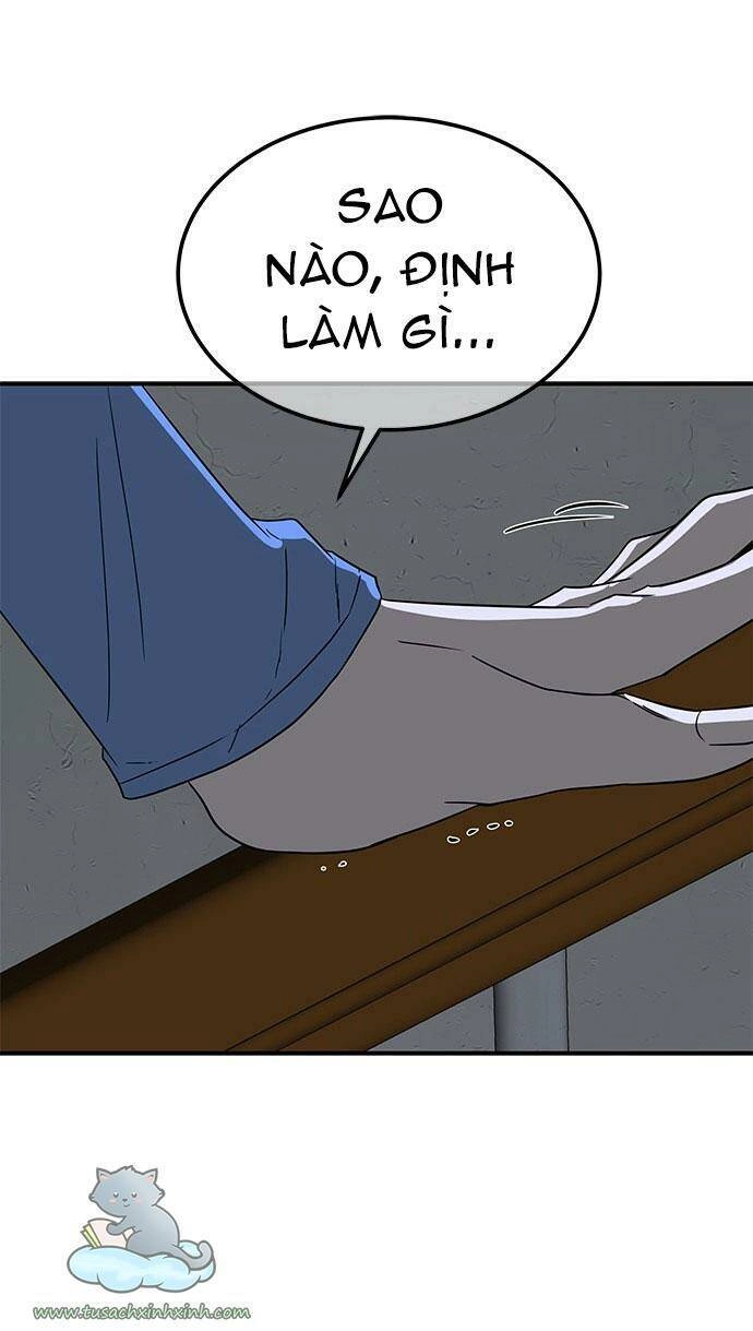 Cạm Bẫy Chapter 46 - 66