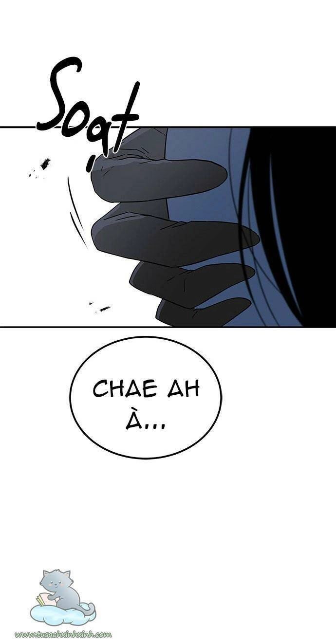 Cạm Bẫy Chapter 46 - 71