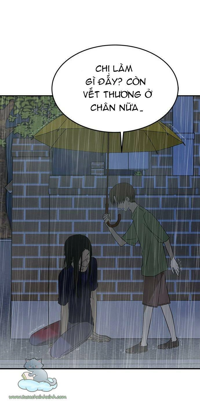 Cạm Bẫy Chapter 51 - 65