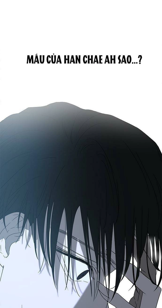 Cạm Bẫy Chapter 51 - 77