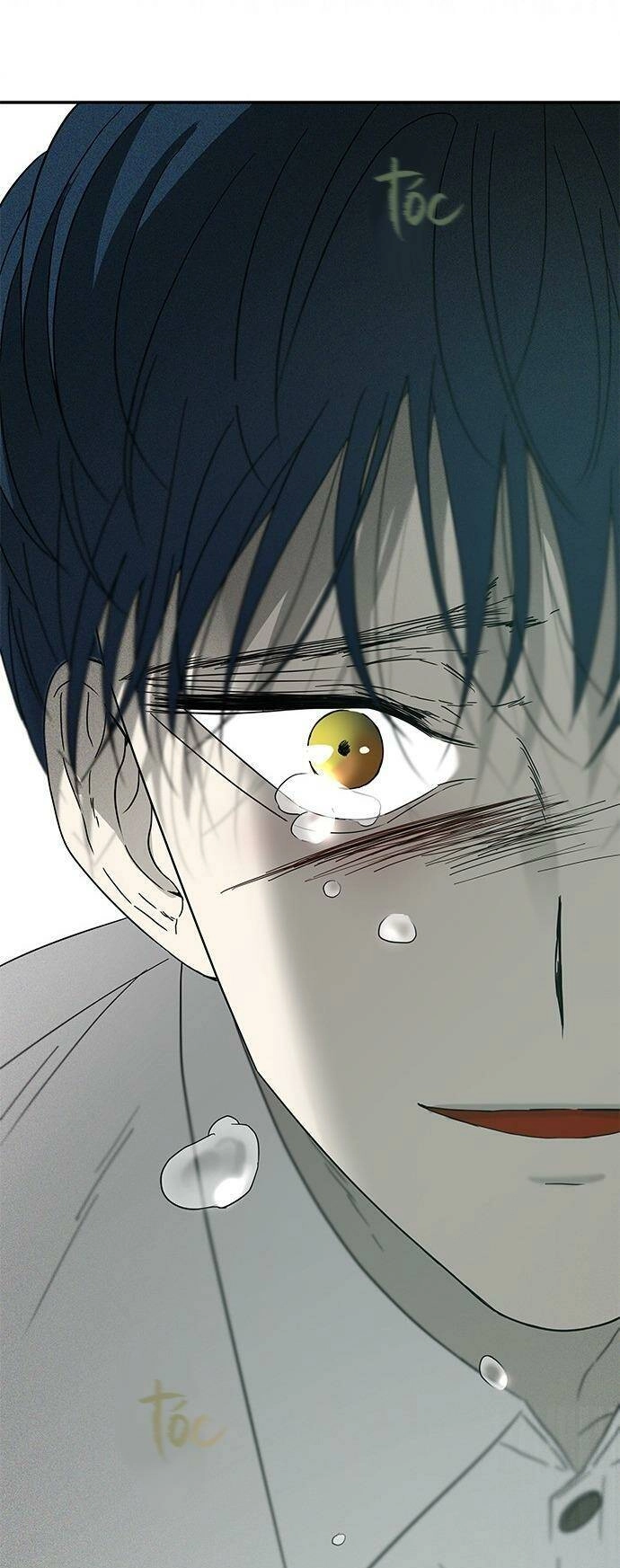 Cạm Bẫy Chapter 54 - 126