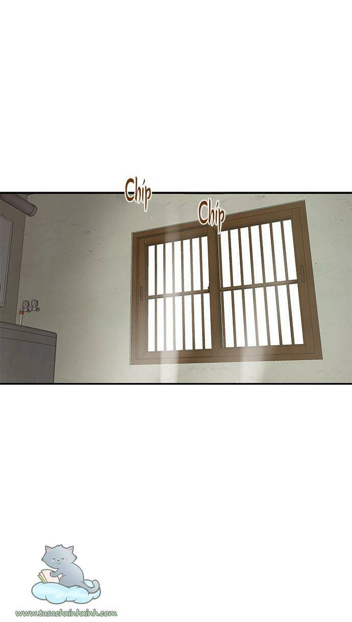 Cạm Bẫy Chapter 59 - 78