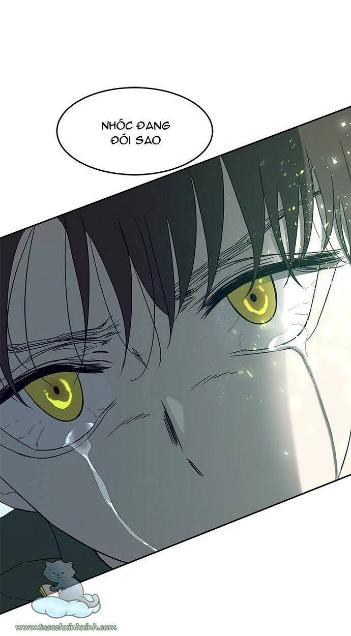 Cạm Bẫy Chapter 61 - 26