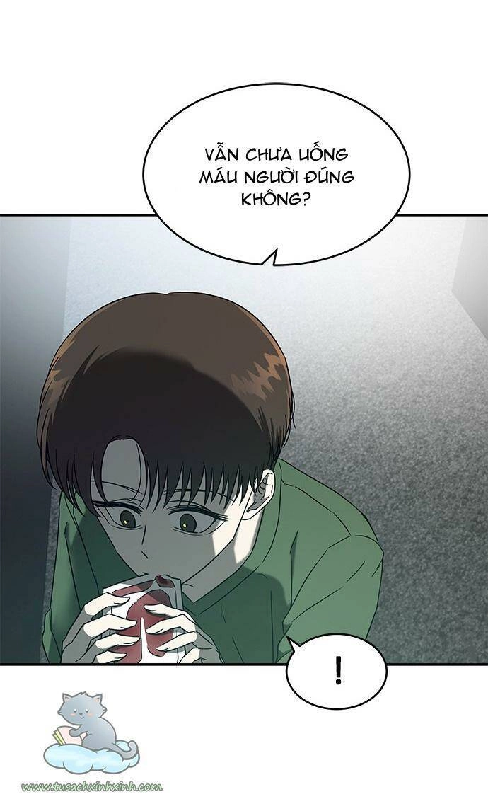 Cạm Bẫy Chapter 61 - 33