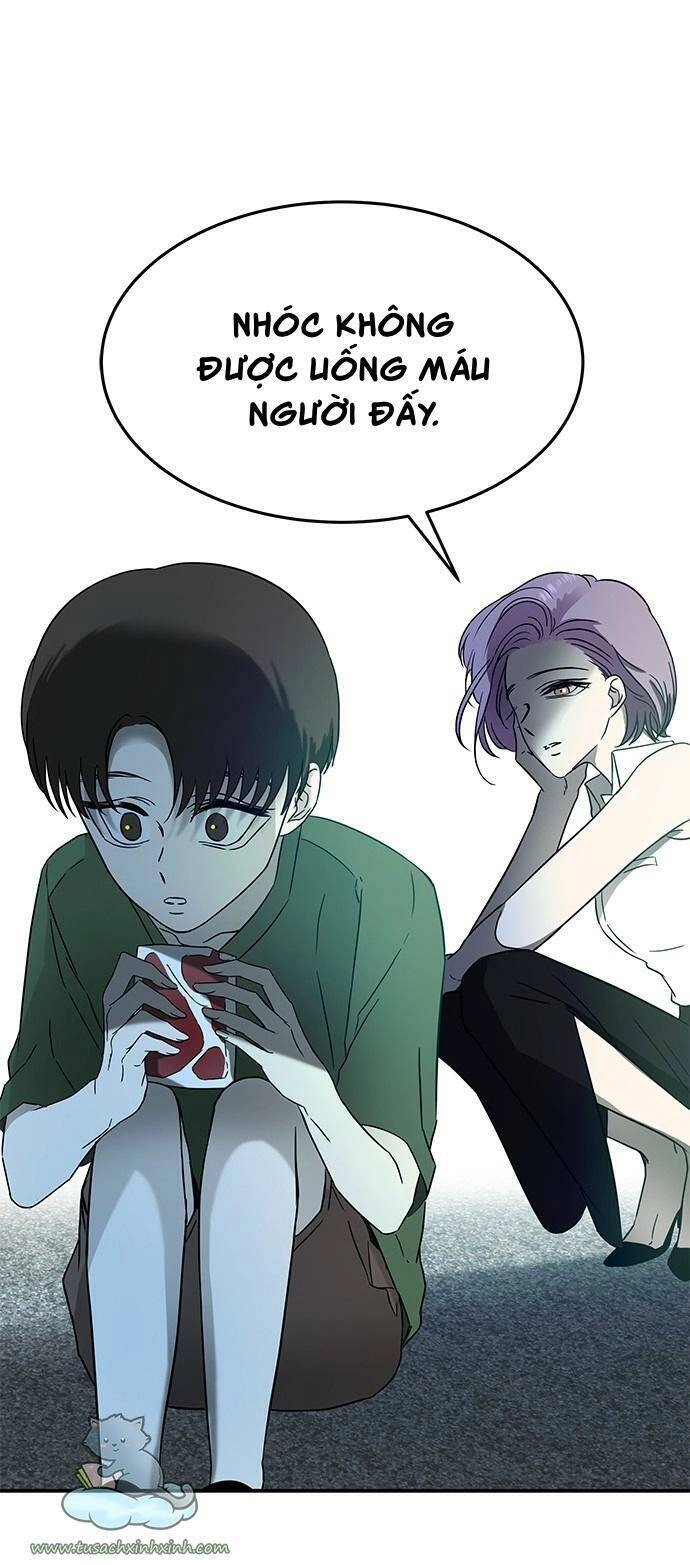 Cạm Bẫy Chapter 61 - 37