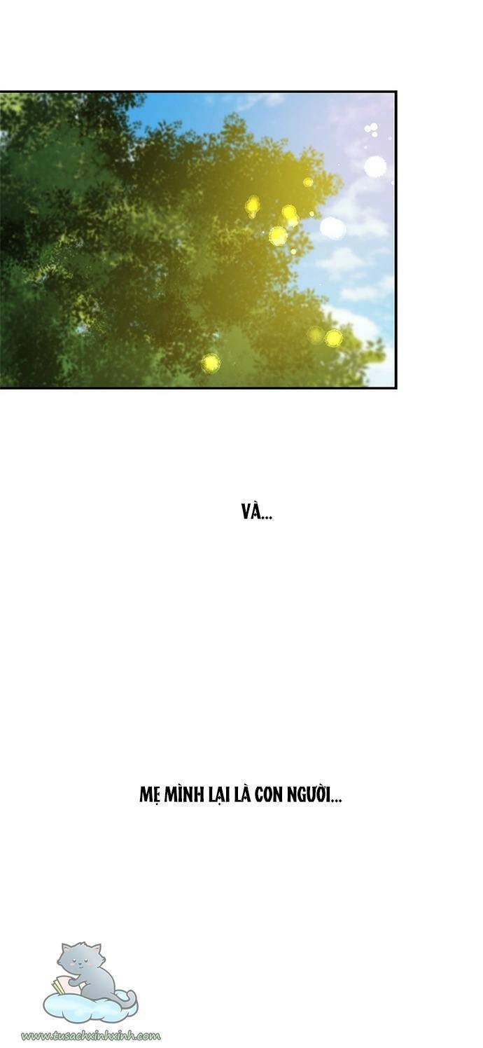 Cạm Bẫy Chapter 63 - 62