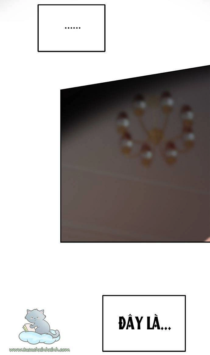 Cạm Bẫy Chapter 67 - 22