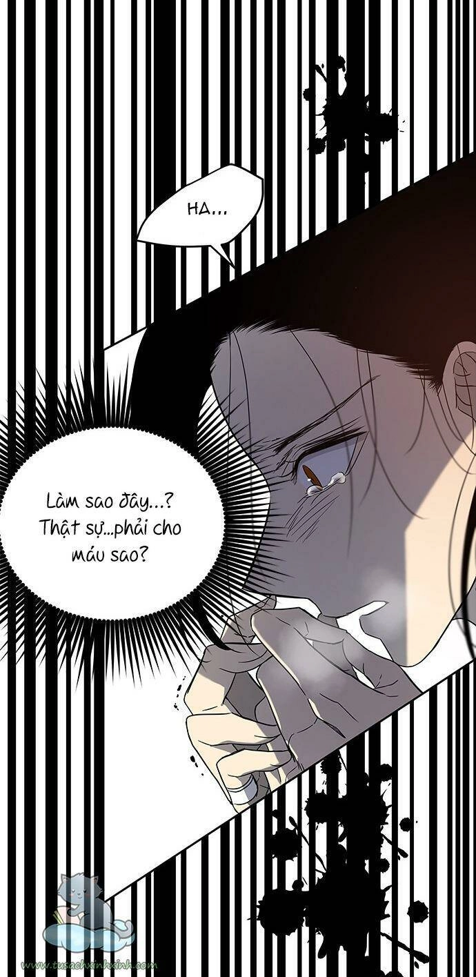 Cạm Bẫy Chapter 68 - 96