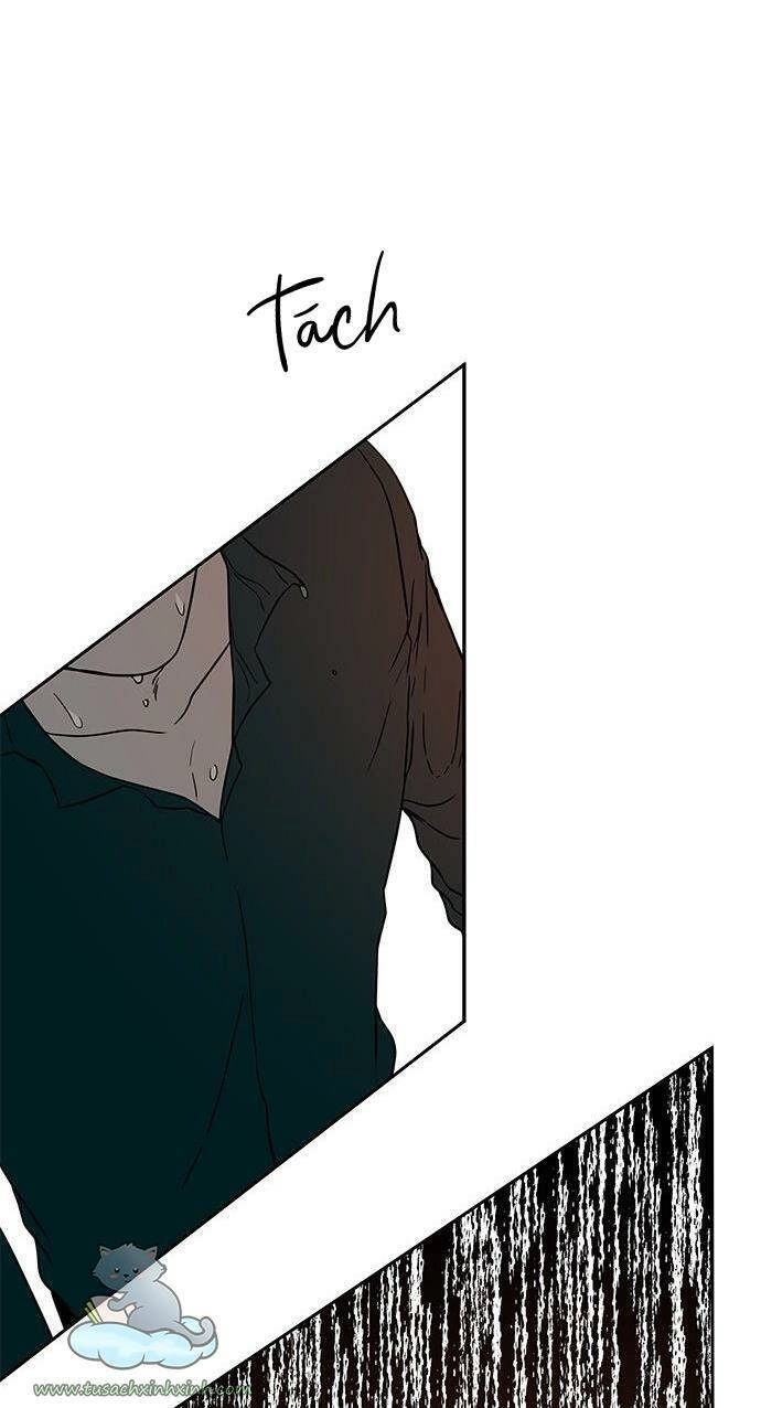 Cạm Bẫy Chapter 70 - 53