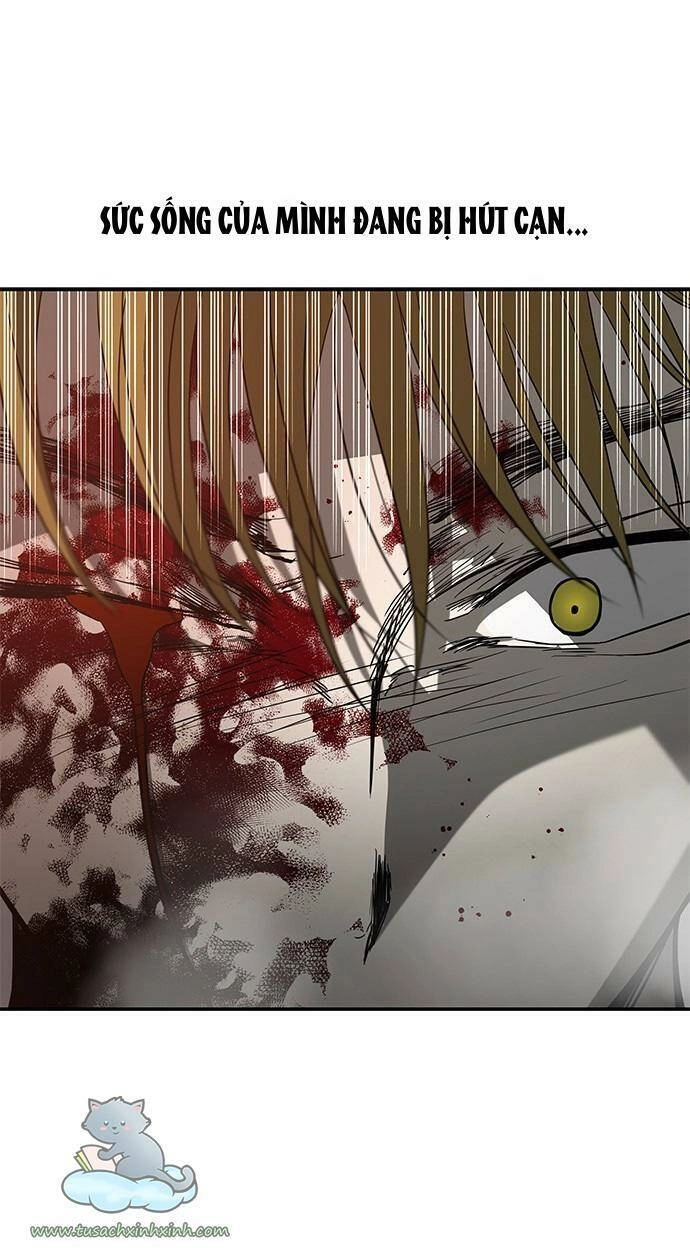 Cạm Bẫy Chapter 71 - 10