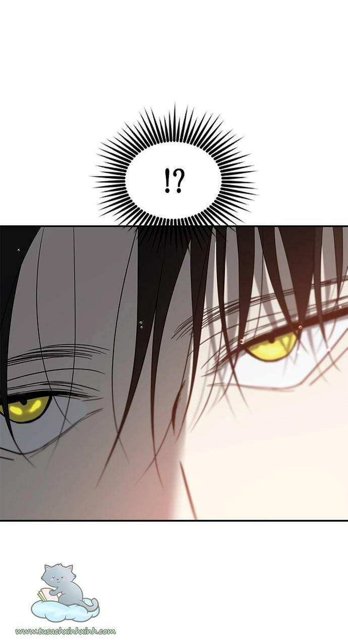 Cạm Bẫy Chapter 72 - 3