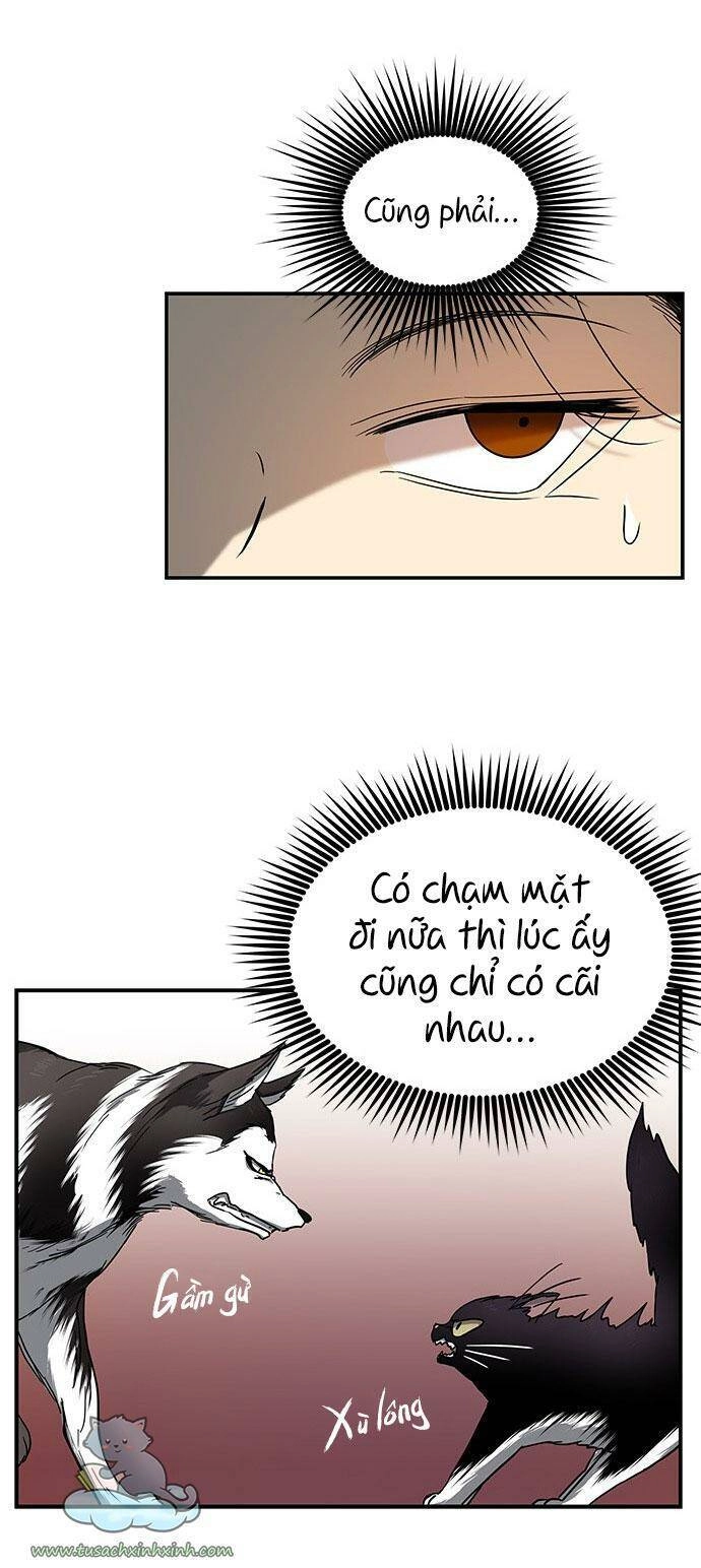 Cạm Bẫy Chapter 74 - 37