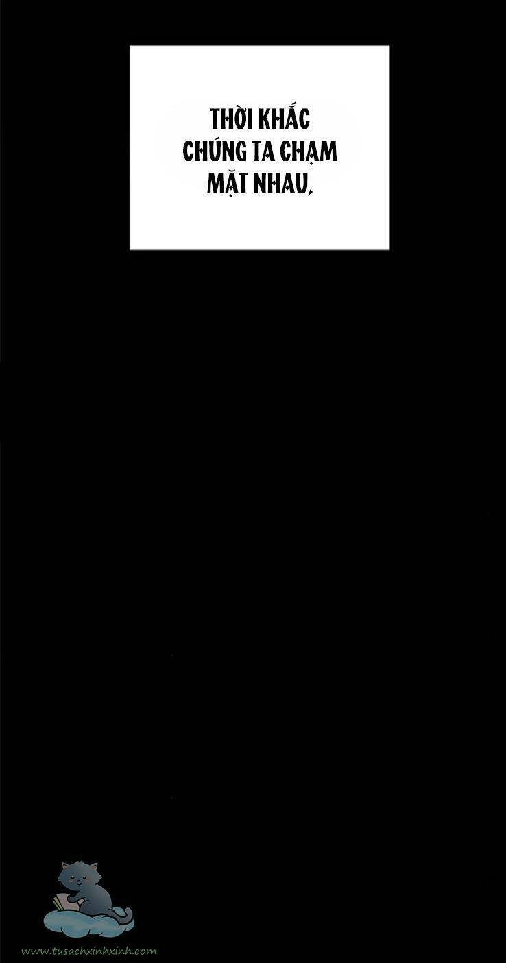 Cạm Bẫy Chapter 113 - 40