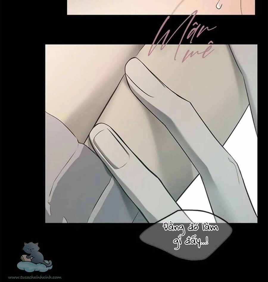 Cạm Bẫy Chapter 132 - 62