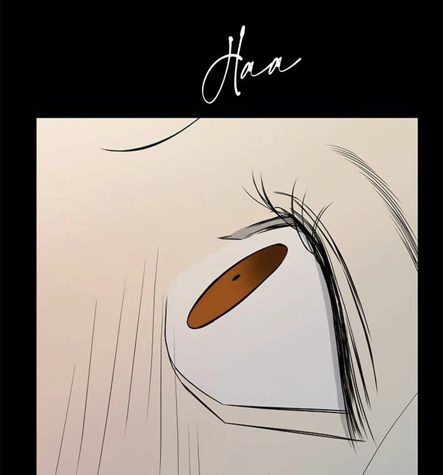 Cạm Bẫy Chapter 132 - 68