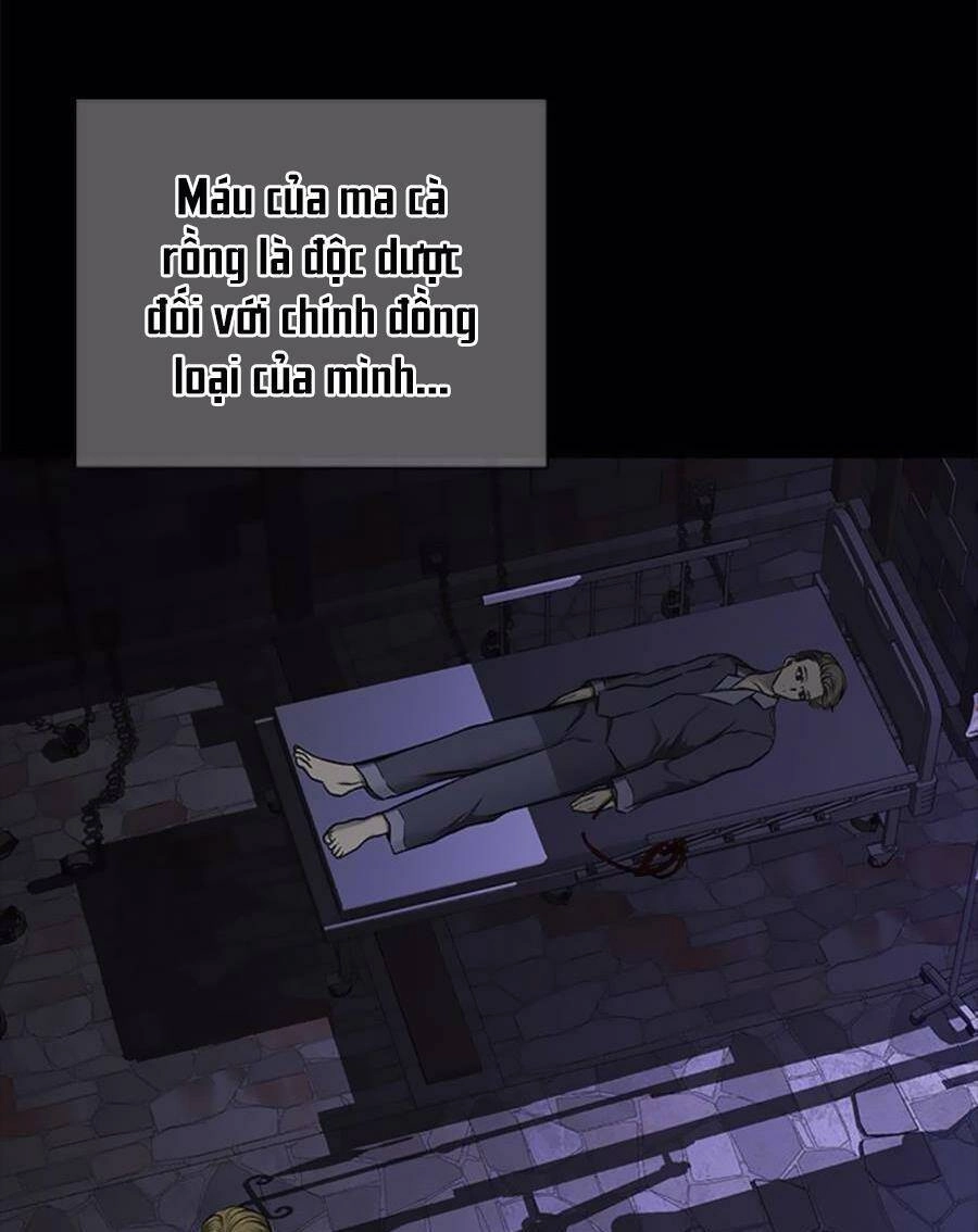 Cạm Bẫy Chapter 135 - 63