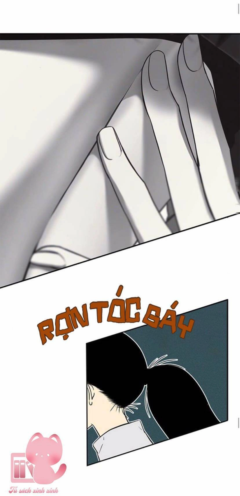 Cạm Bẫy Chapter 138 - 48