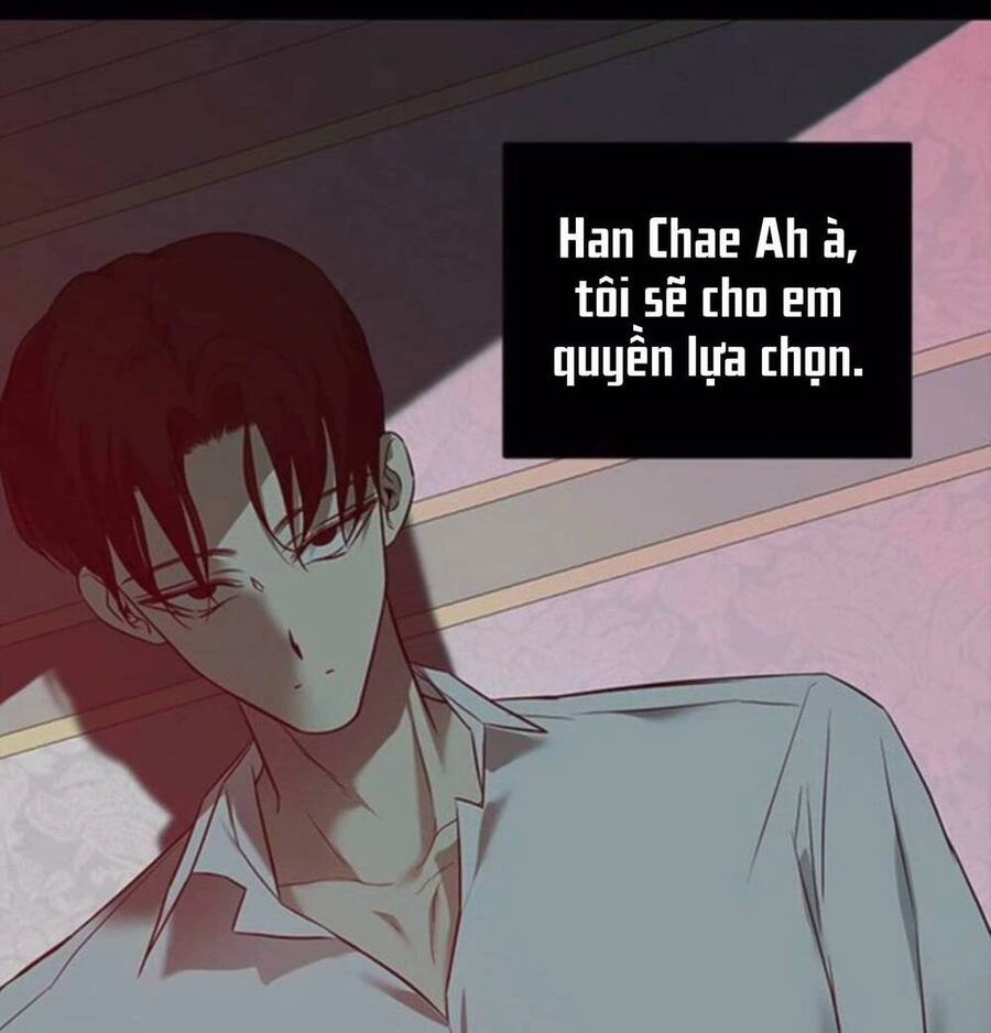 Cạm Bẫy Chapter 142 - 101