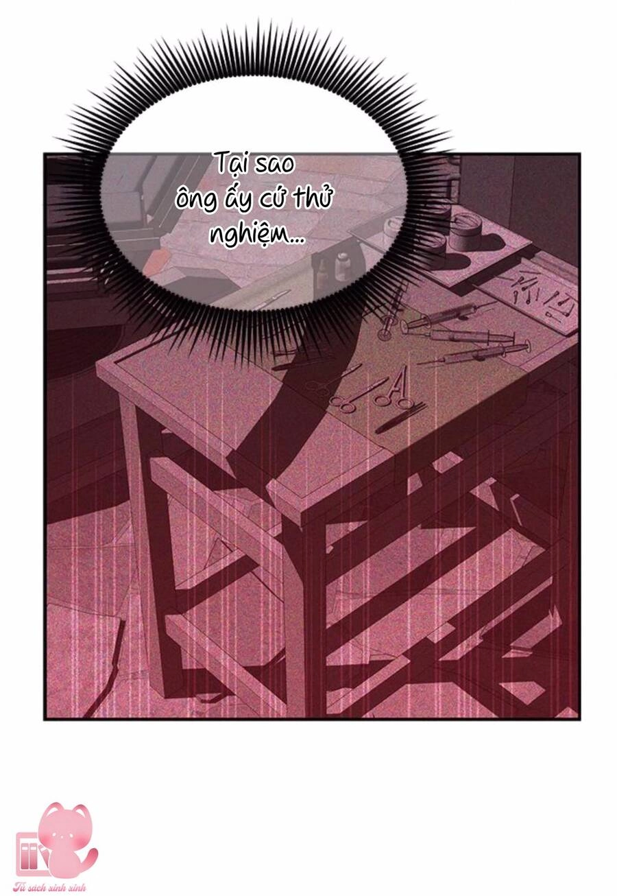 Cạm Bẫy Chapter 156 - 29