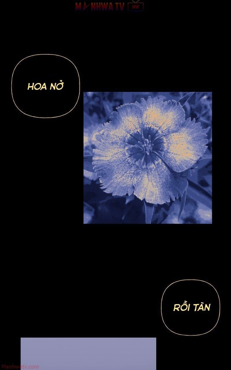 Trọng Sinh Mạc Thế Chapter 50 - 42