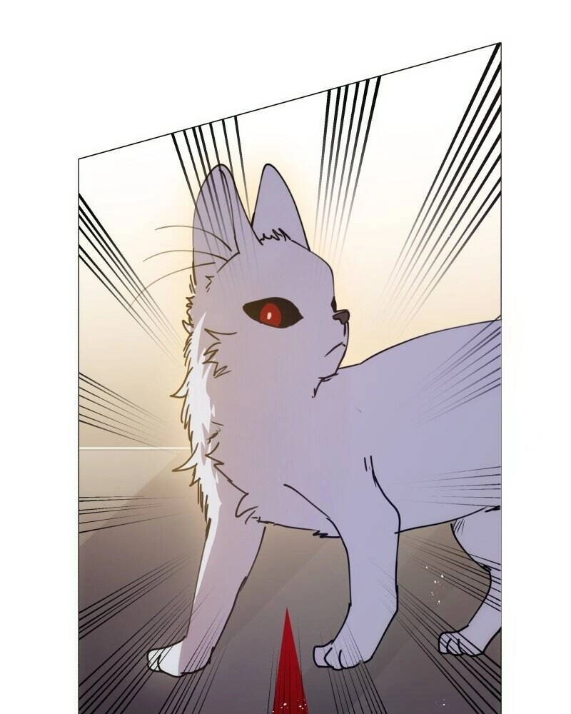 Trọng Sinh Mạc Thế Chapter 104 - 38