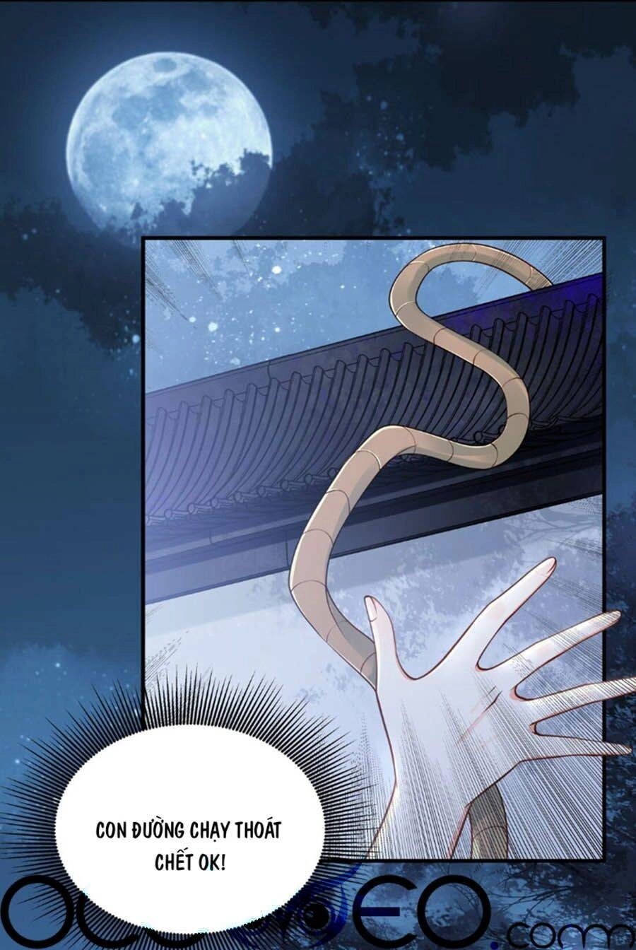 Đây Không Muốn Cung Đấu Mà Chapter 4 - 2