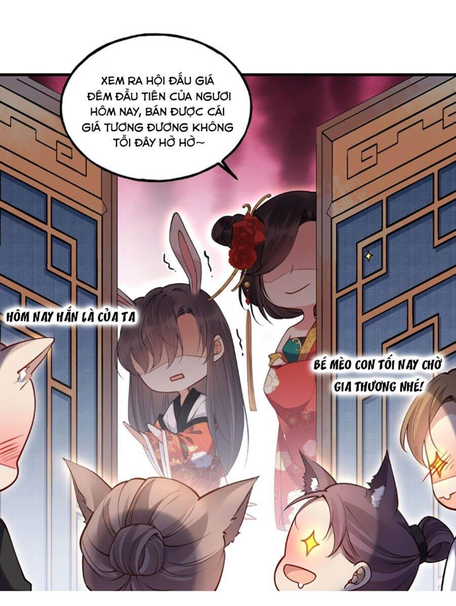 Đây Không Muốn Cung Đấu Mà Chapter 4 - 18