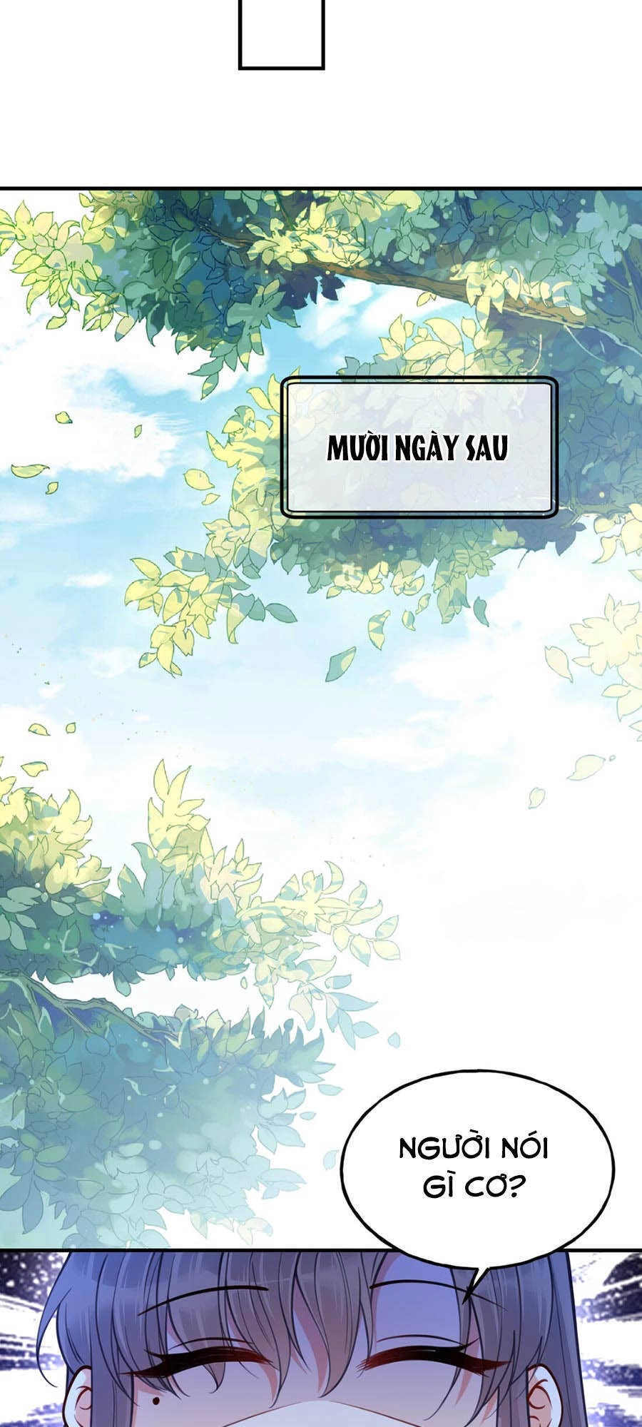 Đây Không Muốn Cung Đấu Mà Chapter 8 - 31