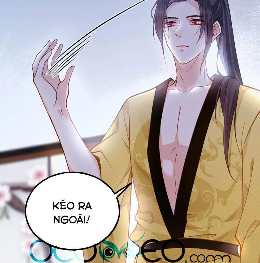 Đây Không Muốn Cung Đấu Mà Chapter 10 - 5