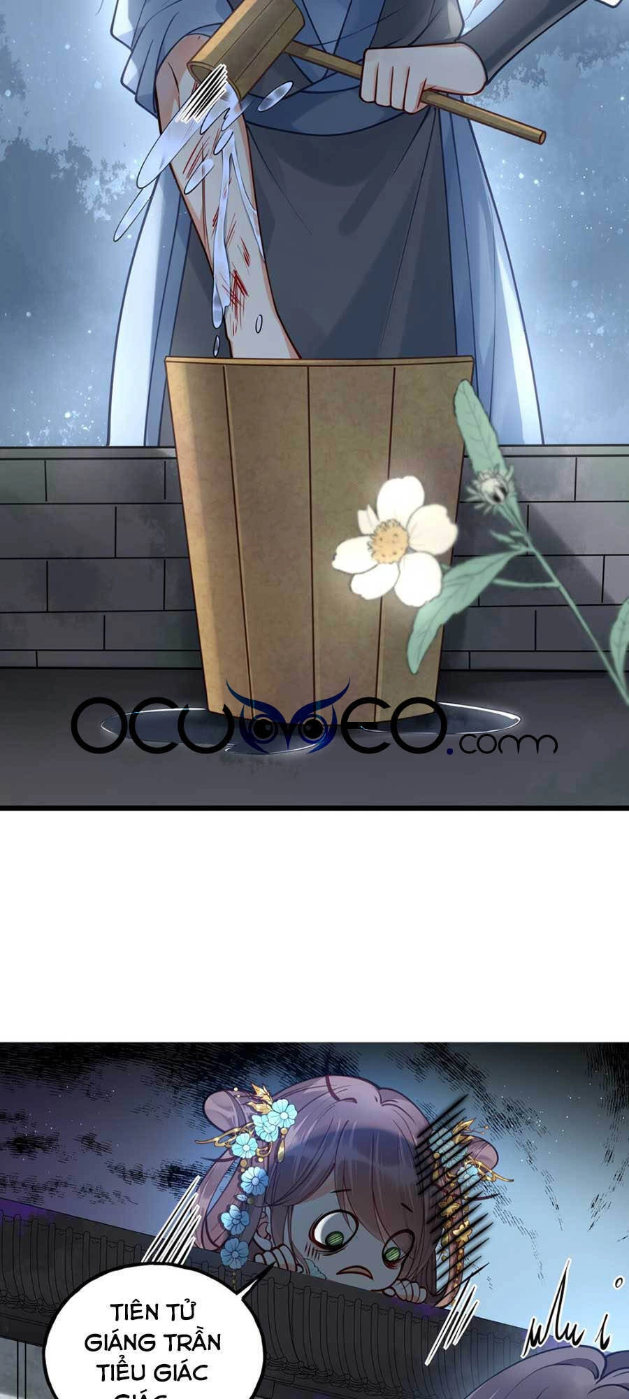 Đây Không Muốn Cung Đấu Mà Chapter 11 - 18