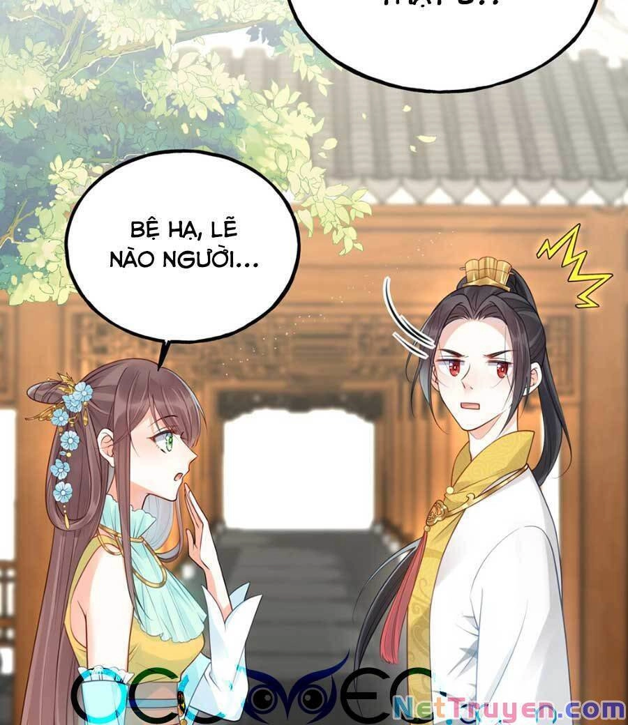 Đây Không Muốn Cung Đấu Mà Chapter 13 - 9