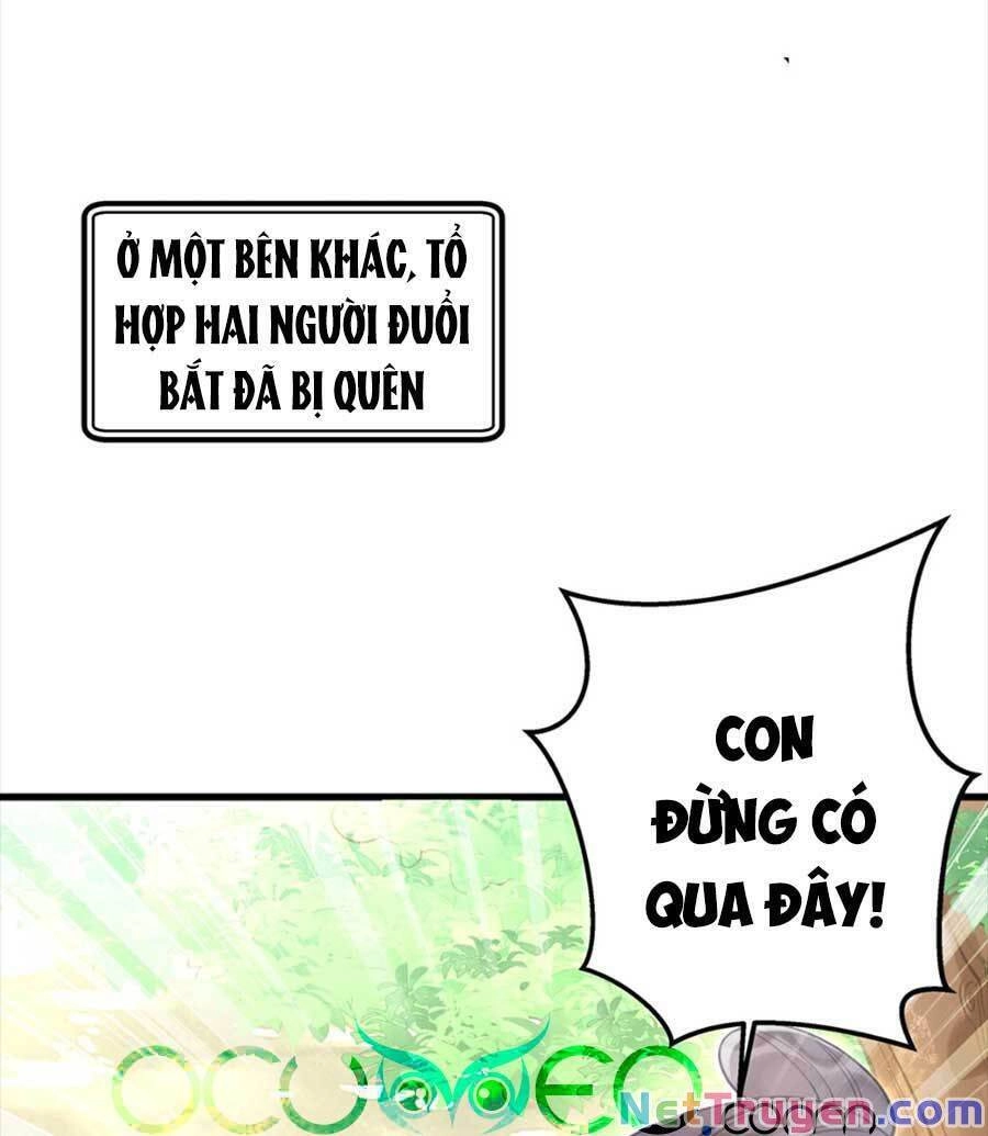 Đây Không Muốn Cung Đấu Mà Chapter 13 - 19