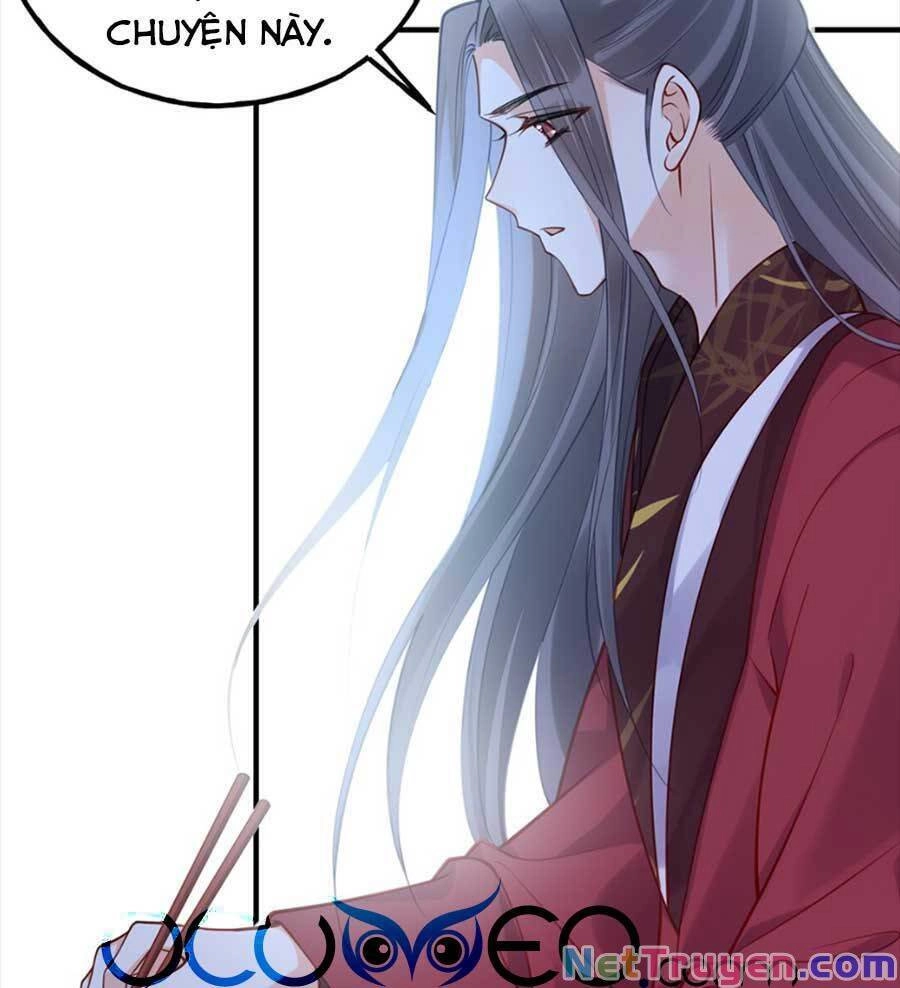 Đây Không Muốn Cung Đấu Mà Chapter 13 - 24