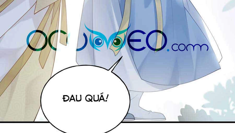 Đây Không Muốn Cung Đấu Mà Chapter 17 - 29