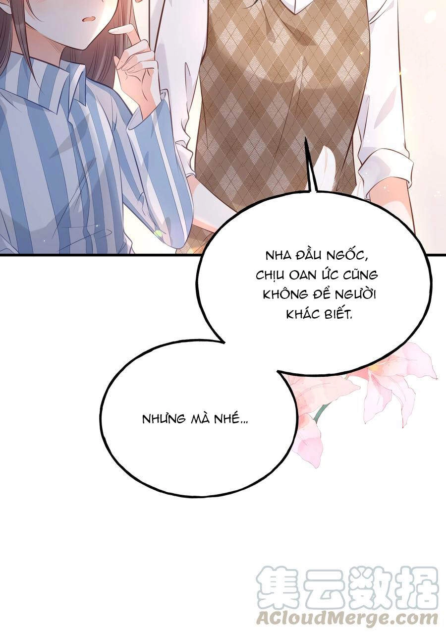 Đây Không Muốn Cung Đấu Mà Chapter 24 - 8