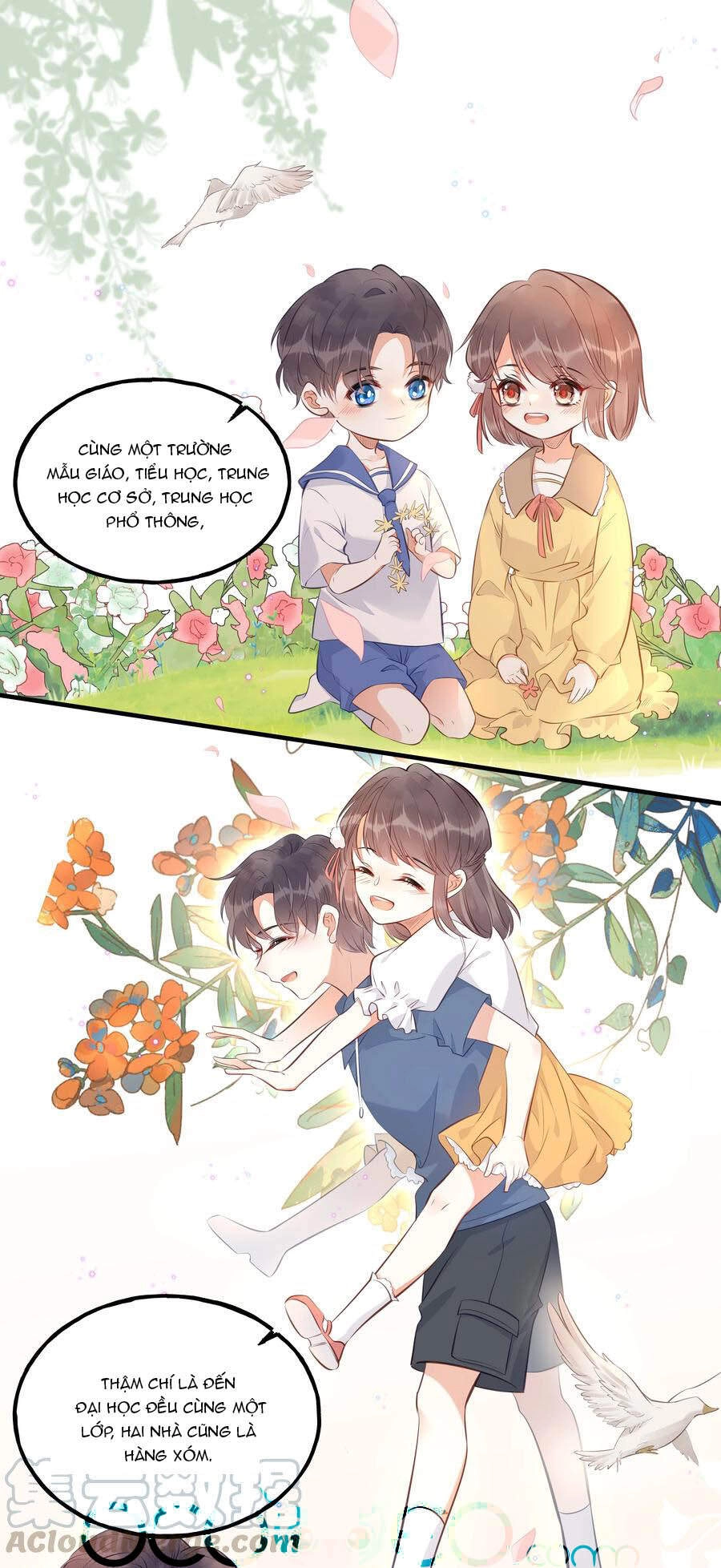 Đây Không Muốn Cung Đấu Mà Chapter 24 - 29