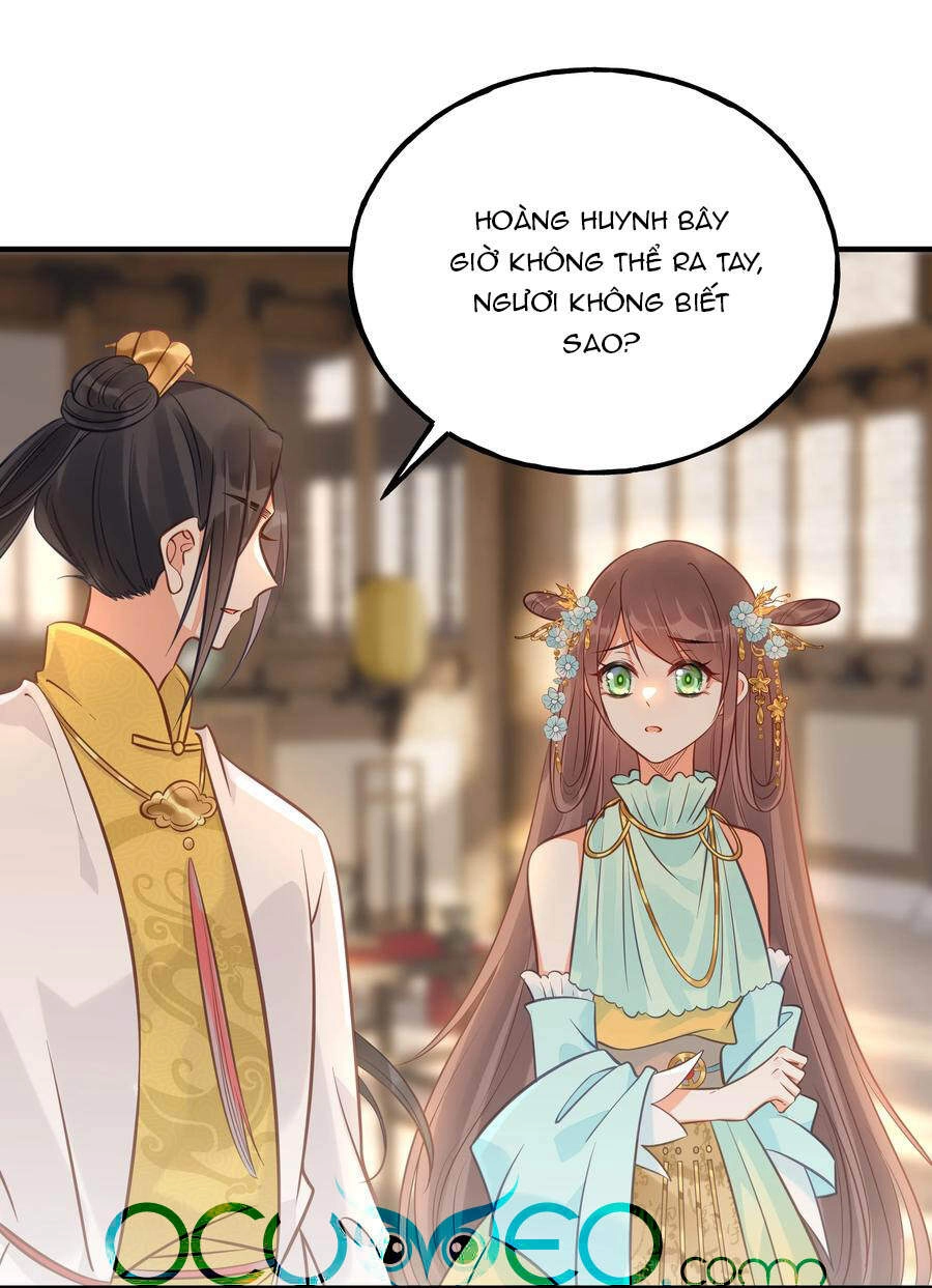 Đây Không Muốn Cung Đấu Mà Chapter 26 - 45