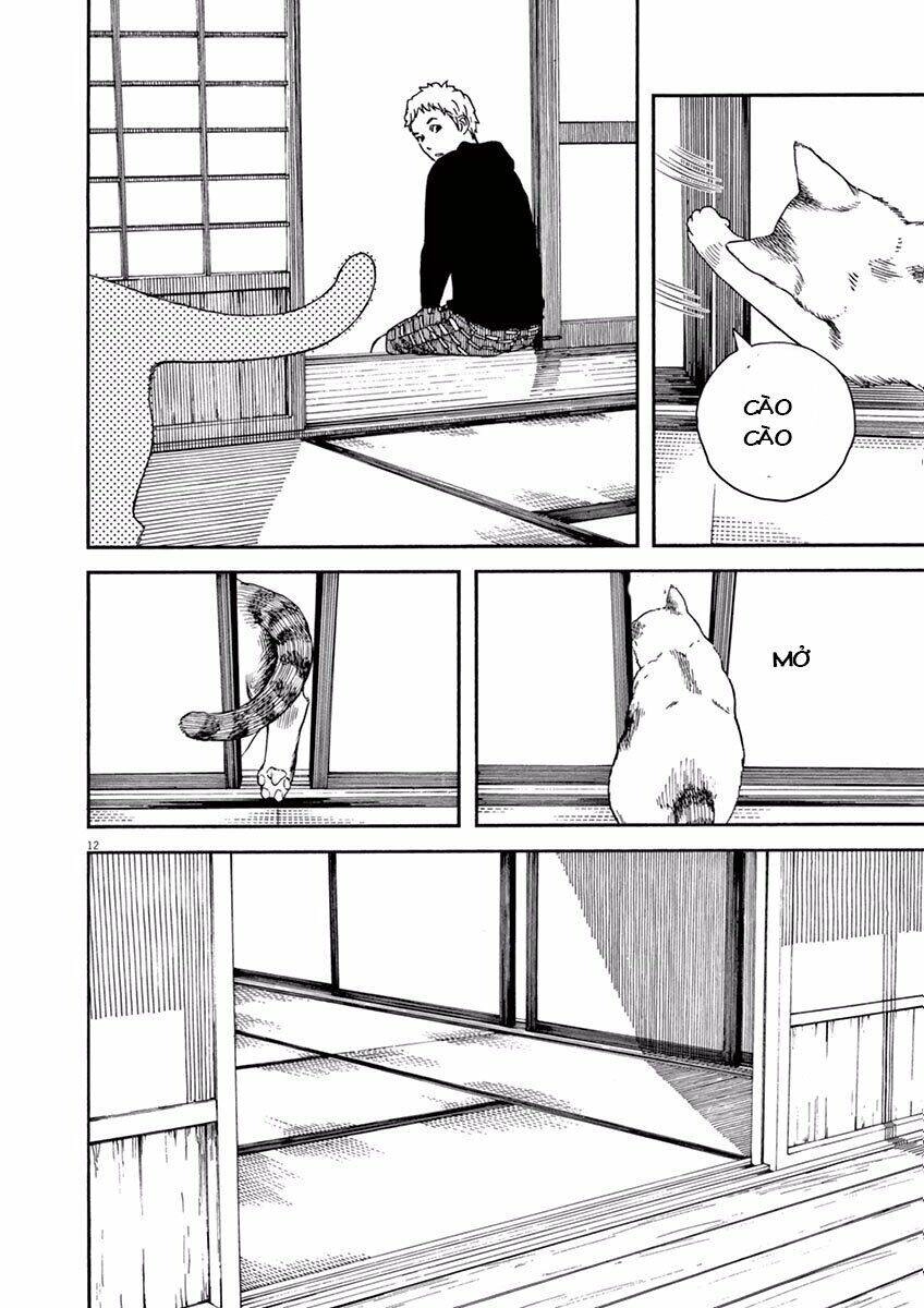 Neko No Otera No Chion-San Chapter 6 - 12