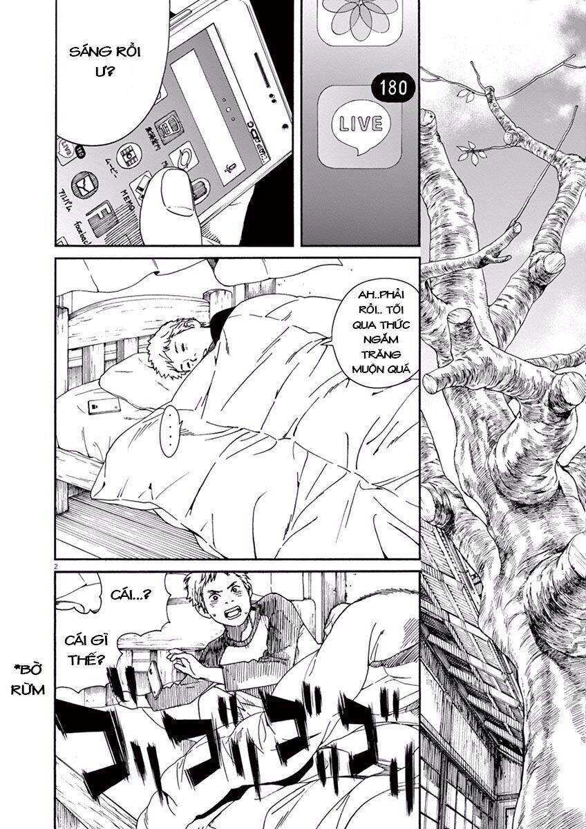 Neko No Otera No Chion-San Chapter 8 - 2