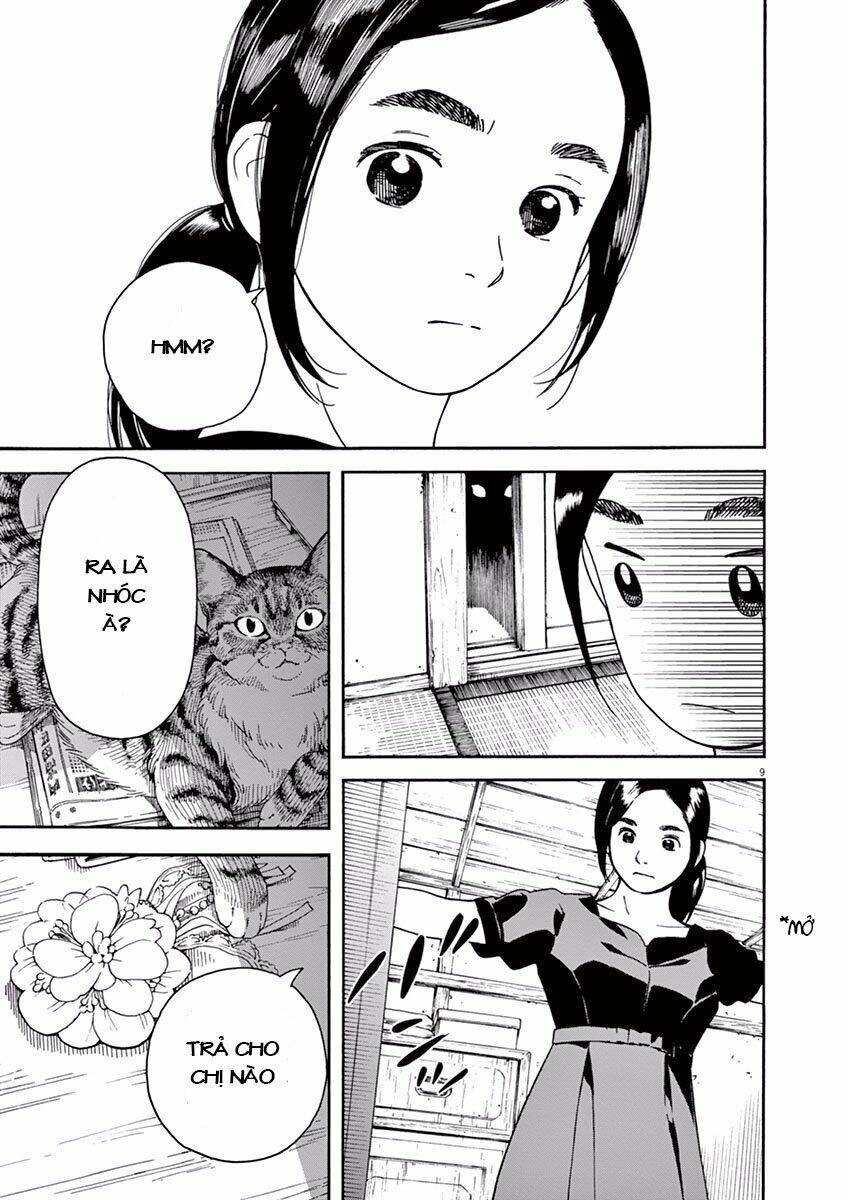 Neko No Otera No Chion-San Chapter 10 - 12