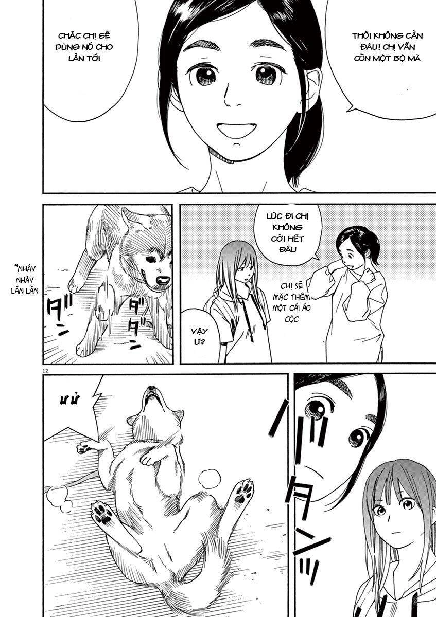 Neko No Otera No Chion-San Chapter 23 - 13