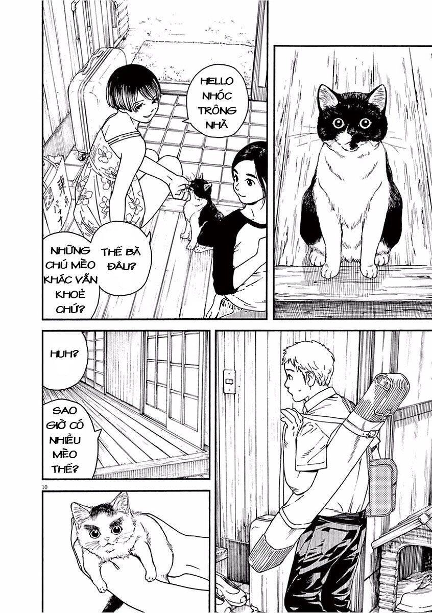 Neko No Otera No Chion-San Chapter 37 - 11